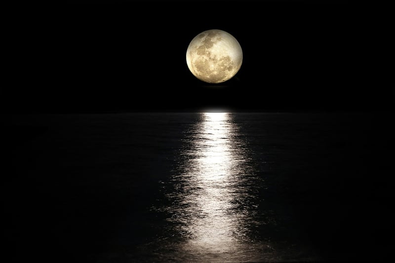 Moonlit Dance Floor